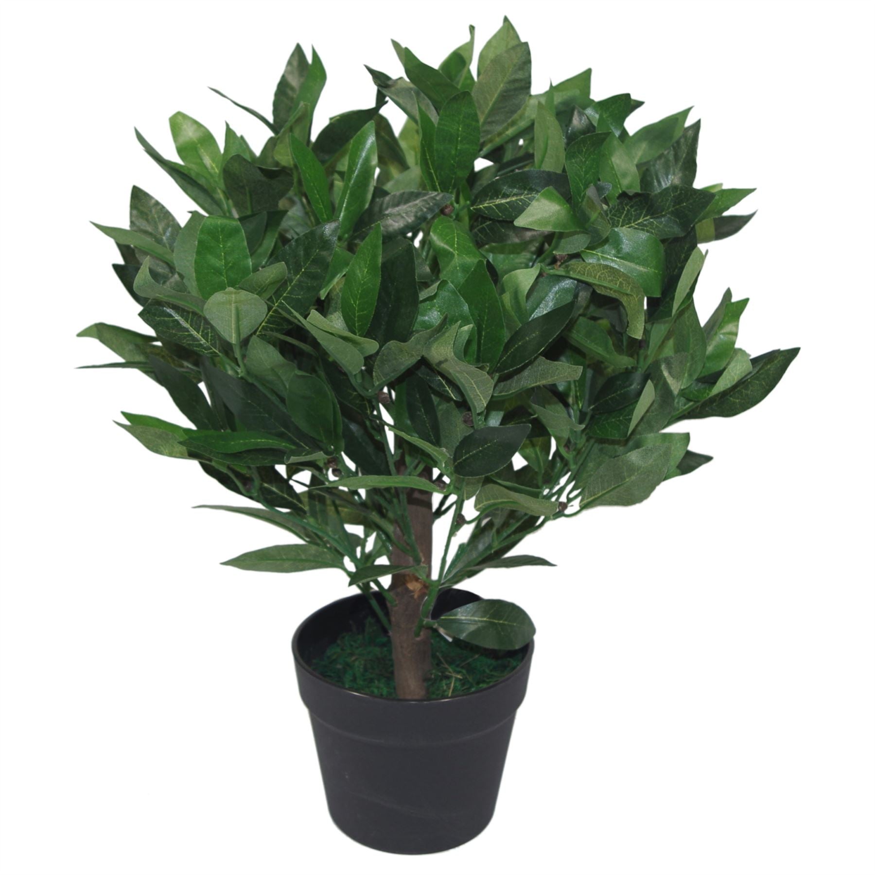 Artificial Bay Laurel Trees - Large Statement Entrance Trees-4