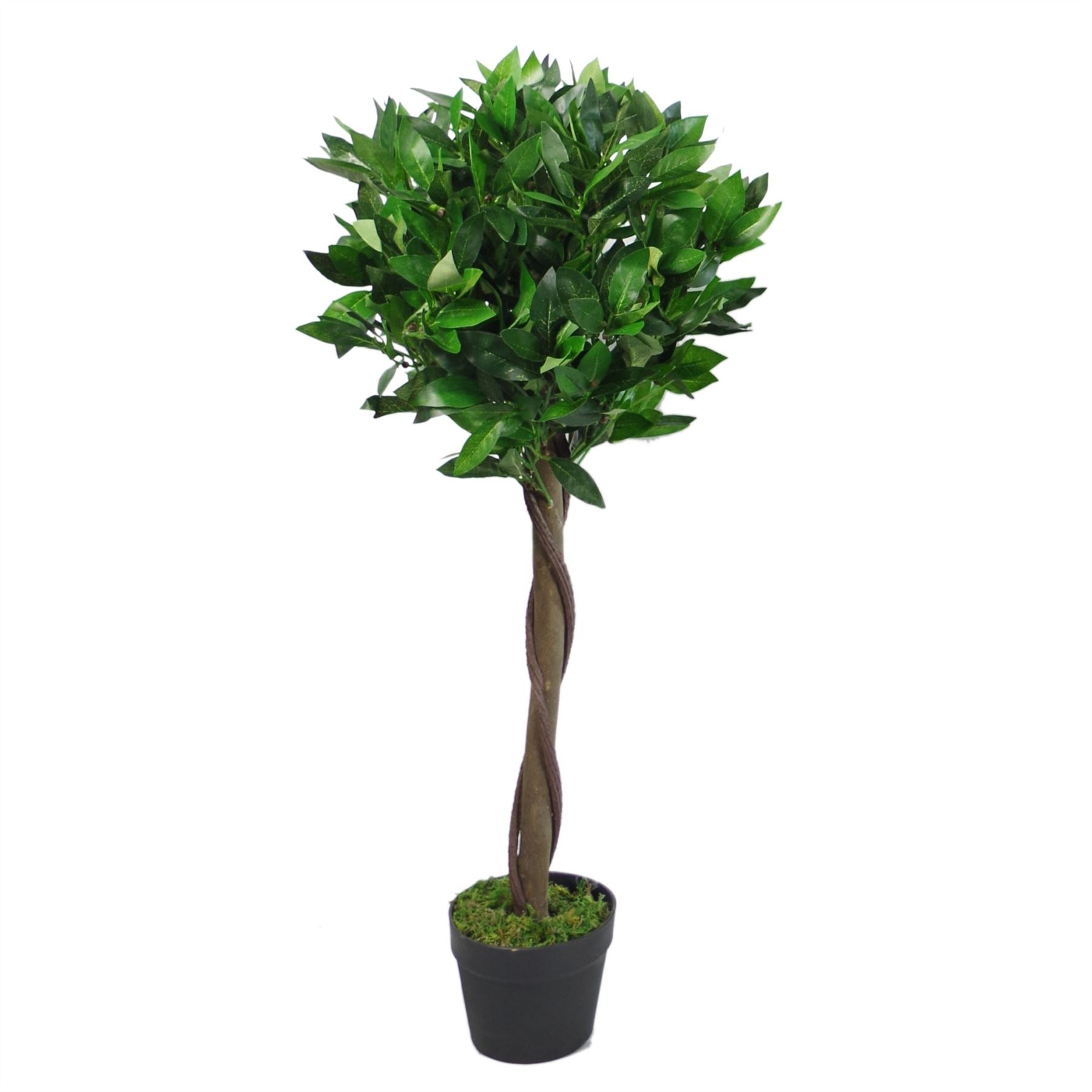 Artificial Bay Laurel Trees - Large Statement Entrance Trees-6