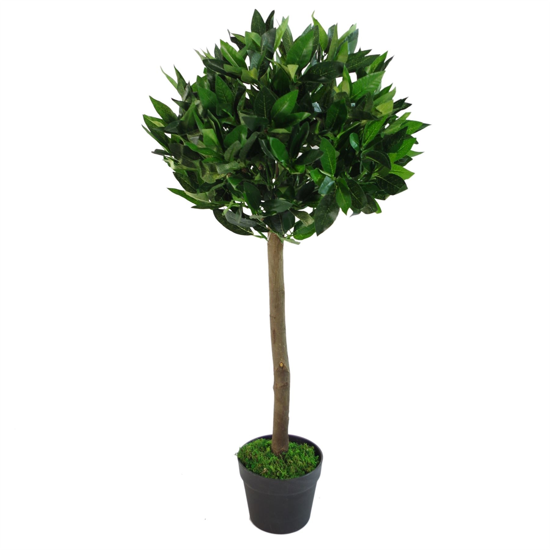 Artificial Bay Laurel Trees - Large Statement Entrance Trees-1