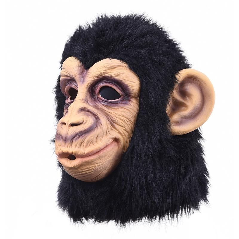 main.png