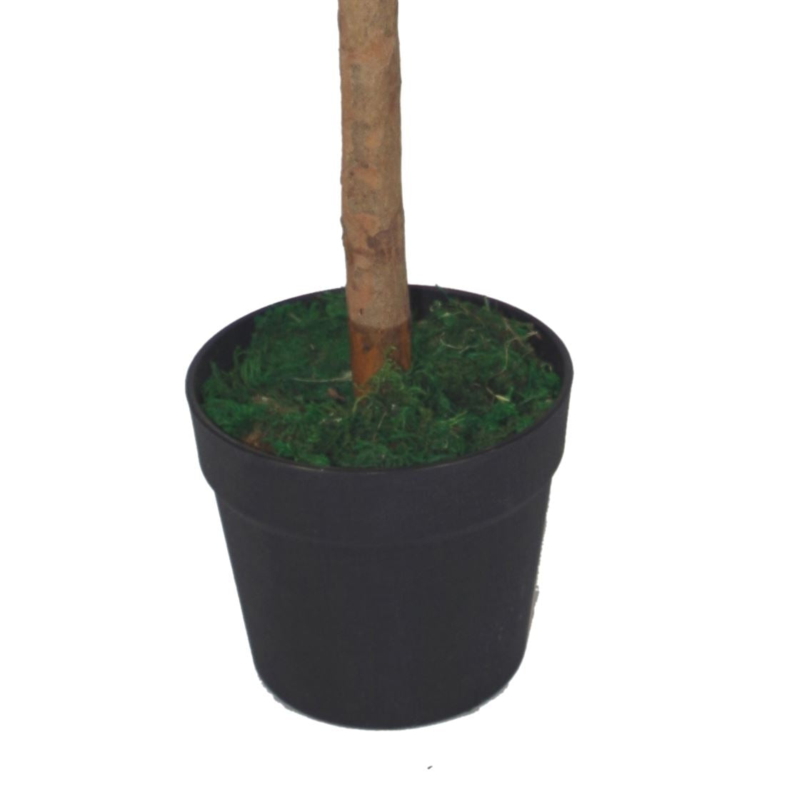 Artificial Bay Laurel Trees - Large Statement Entrance Trees-2