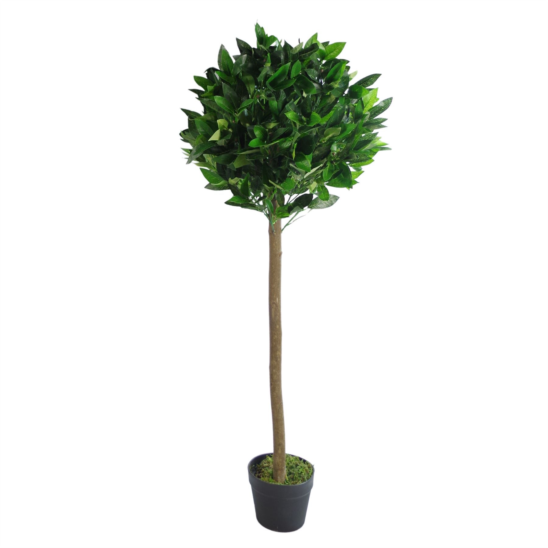 Artificial Bay Laurel Trees - Large Statement Entrance Trees-7