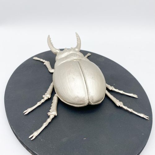 33CM INSECT WALL DECOR ON WOOD BOARD